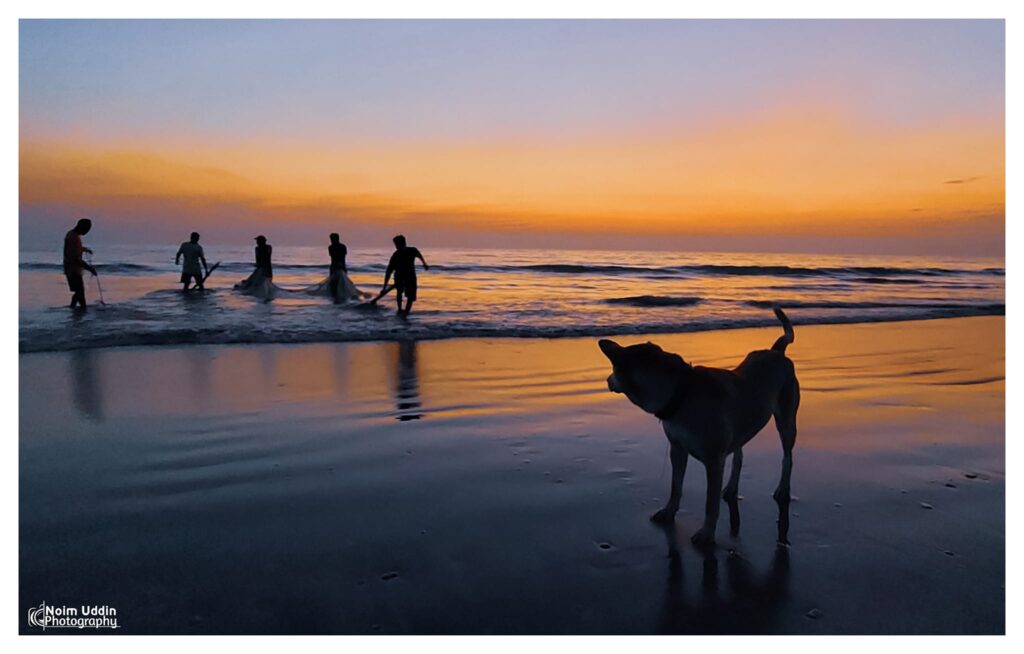 মাছ শিকারে ব্যস্ত সবাই বোবা প্রাণীর কি কিছু আসে যায় ?