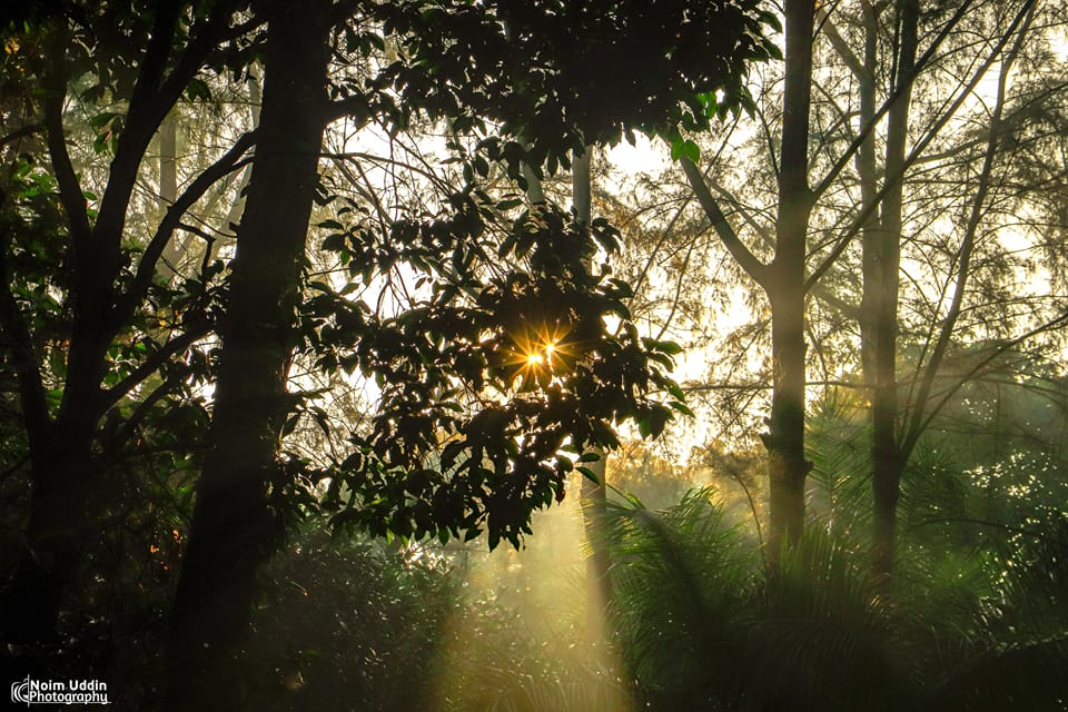 আলো ছায়ার খেলা