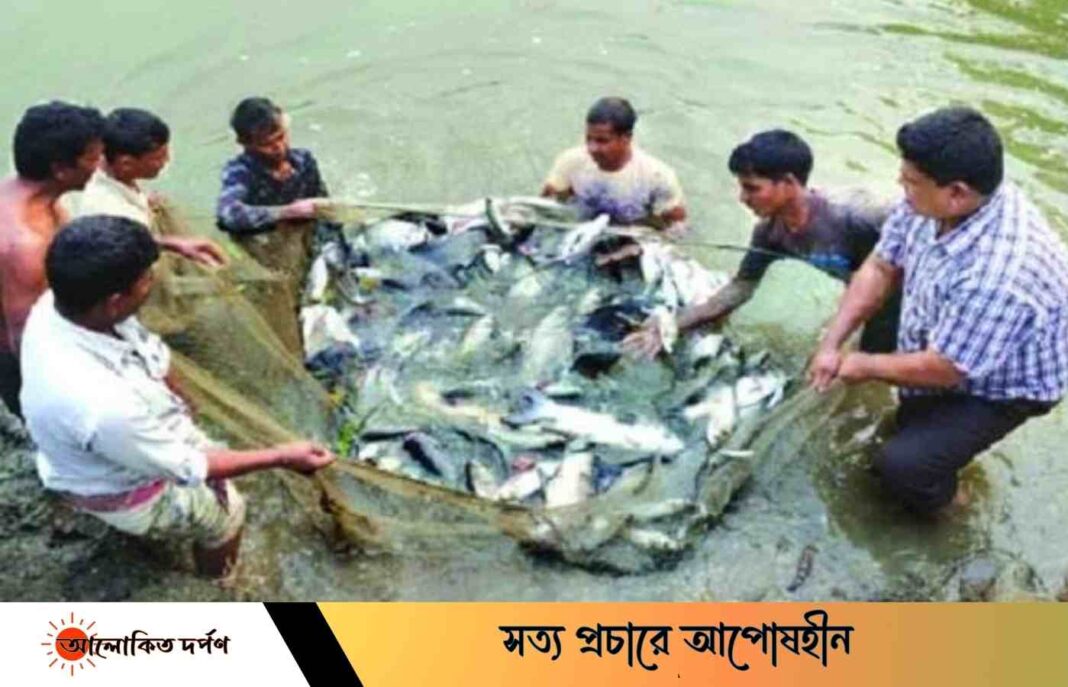 রাজশাহীতে পানি, বিদ্যুৎ সংকটে ও প্রশাসনের অসহযোগিতায় বিপাকে মৎস্যচাষীরা রাজশাহীতে পানি, বিদ্যুৎ সংকটে ও প্রশাসনের অসহযোগিতায় বিপাকে মৎস্যচাষীরা