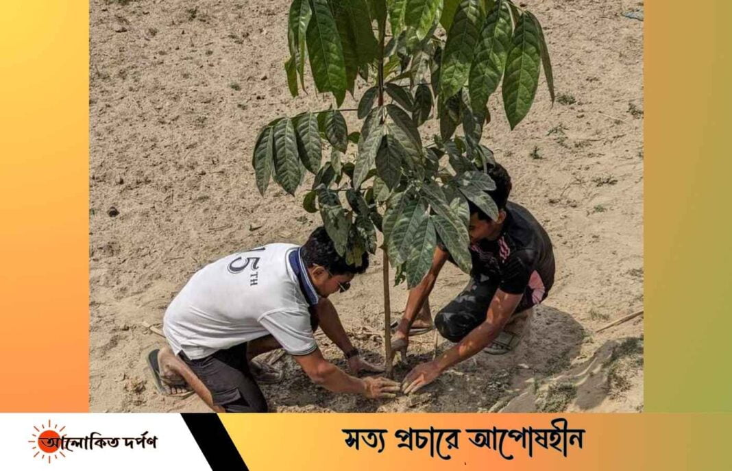 তীব্র তাপদাহে জবি ছাত্রলীগ নেতার বৃক্ষরোপণ কর্মসূচি 