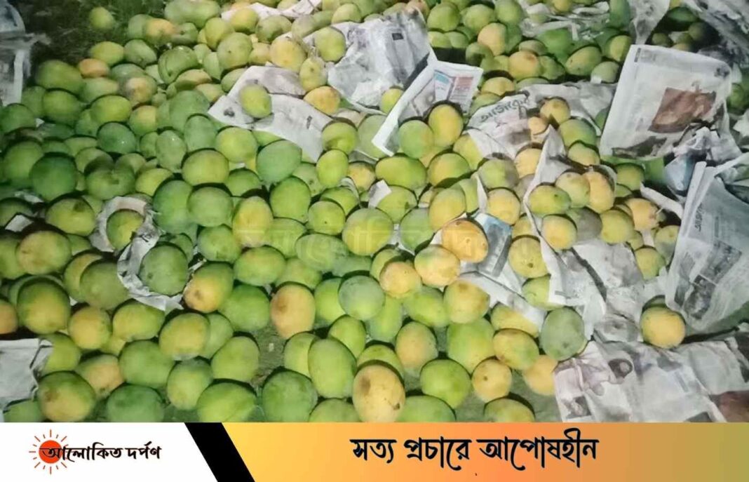 দেবহাটায় ১০ হাজার কেজি ক্যামিকেল মিশ্রিত আম জব্দ, জরিমানা আদায় দেবহাটায় ১০ হাজার কেজি ক্যামিকেল মিশ্রিত আম জব্দ, জরিমানা আদায়