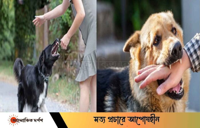 ফুলবাড়ীতে পাগলা কুকুরের কামড়ে চিকিৎসাধীন অবস্থায় শিক্ষার্থীর মৃত্যু