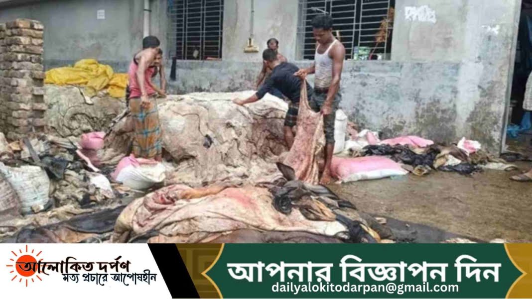 সাড়ে ৬লাখের বেশি কোরবানির পশুর চামড়া ট্যানারিতে ঢুকেছে সাড়ে ৬লাখের বেশি কোরবানির পশুর চামড়া ট্যানারিতে ঢুকেছে