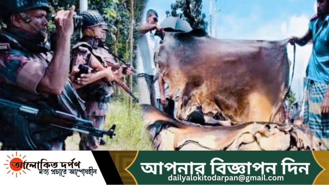 ভারতে কোরবানির চামড়া পাচার রোধে সীমান্তে নিরাপত্তা জোরদার ভারতে কোরবানির চামড়া পাচার রোধে সীমান্তে নিরাপত্তা জোরদার