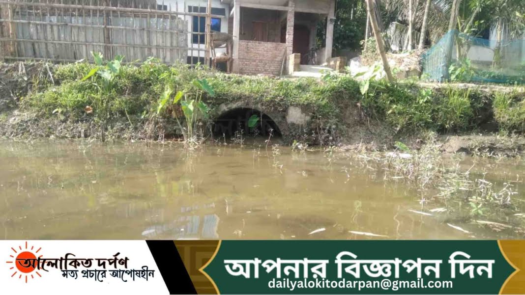 ভূমির পিয়নের দাপটে বন্ধ কালভার্ট, ফসলি জমিতে জলাবদ্ধতা