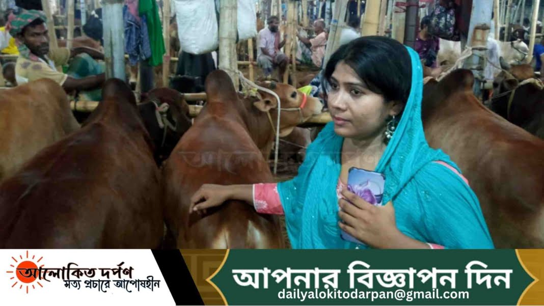 চট্টগ্রামের বিবিরহাটের একমাত্র নারী গরু বেপারী, আছে স্নাতকোত্তর ডিগ্রী