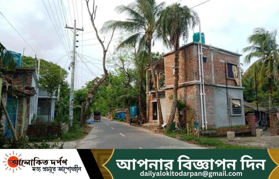 দেবহাটায় মহাসড়কের পাশে শুকনো গাছ, প্রাণ ঝুঁকিতে পথচারীরা