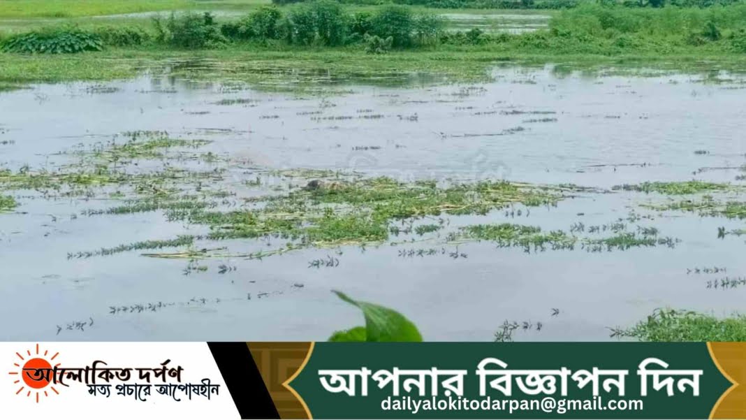 রায়পুরায় নদী থেকে অজ্ঞাতনামা মরদেহ উদ্ধার