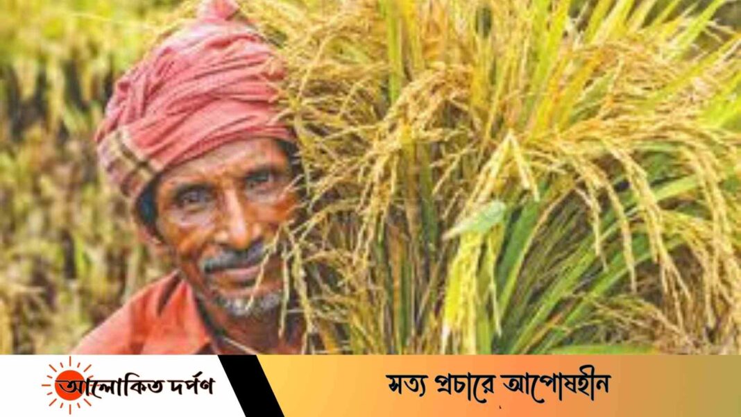 কৃষির মতোই মৎস্য এবং প্রাণিসম্পদকে বড় করে দেখা হবে