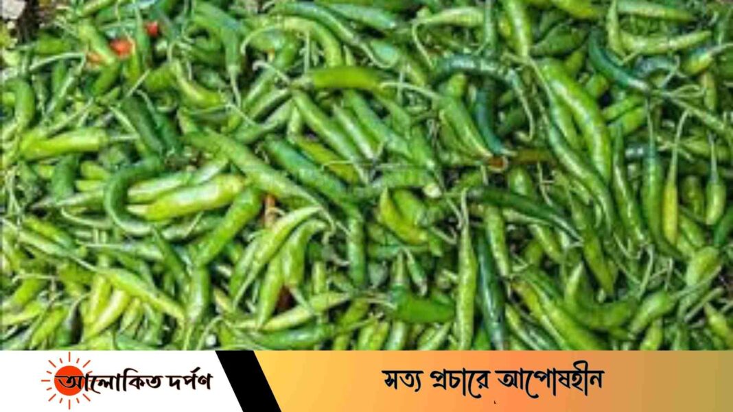 চট্টগ্রামে কাঁচা মরিচের কেজি হাজার ছুঁয়েছে