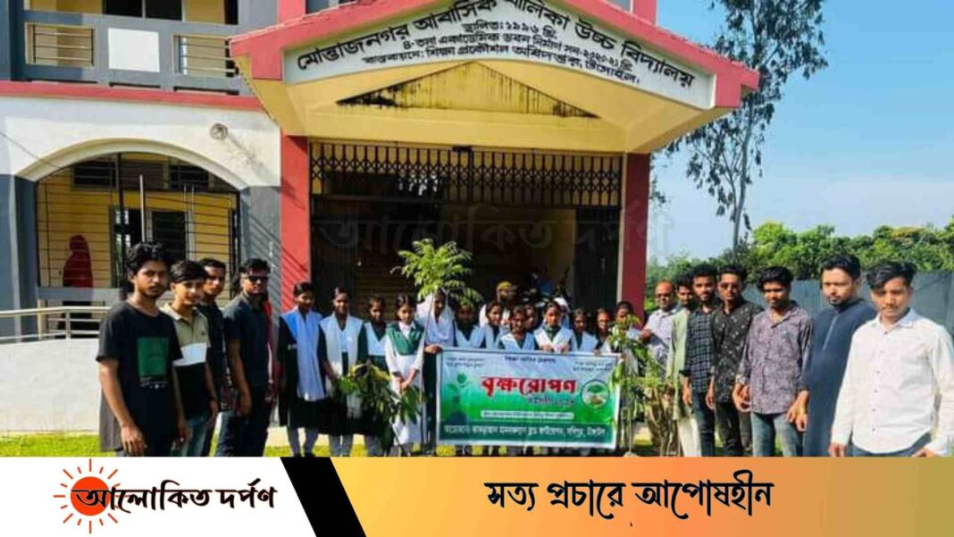 সখীপুরে মানবকল্যাণ ব্লাড ফাউন্ডেশন এর উদ্যোগে বৃক্ষরোপণ কর্মসূচি পালিত