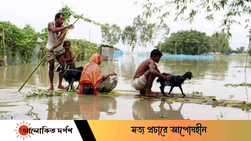 লক্ষ্মীপুরে বন্যায় প্রাণিসম্পদের ৮ কোটি ৬৫ লাখ টাকারও বেশী ক্ষতি 
