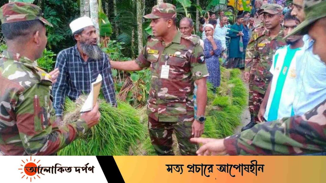 লক্ষ্মীপুরের কৃষকদের মাঝে ধানের চারা উপহার সেনাবাহিনীর 