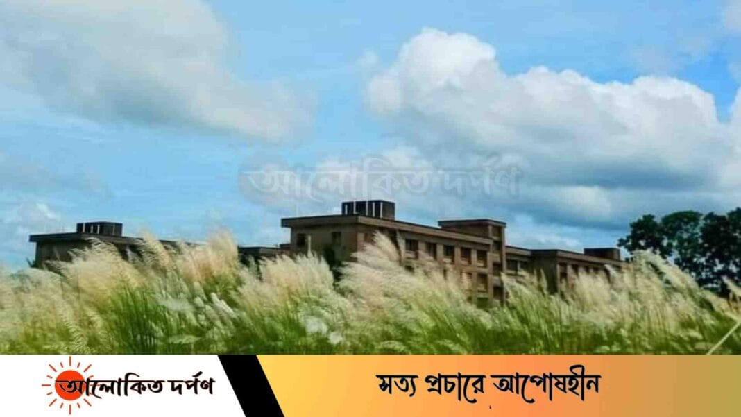 শরতের কাশফুলে মুগ্ধতা: পবিপ্রবির এম কেরামত আলী হলের পরিবেশ শরতের কাশফুলে মুগ্ধতা: পবিপ্রবির এম কেরামত আলী হলের পরিবেশ