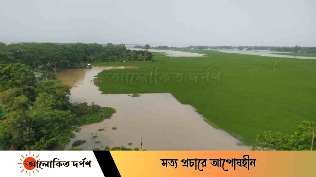 সুনামগঞ্জের ধর্মপাশায় পানির নিচে আমন জমি, কৃষকের মাথায় হাত