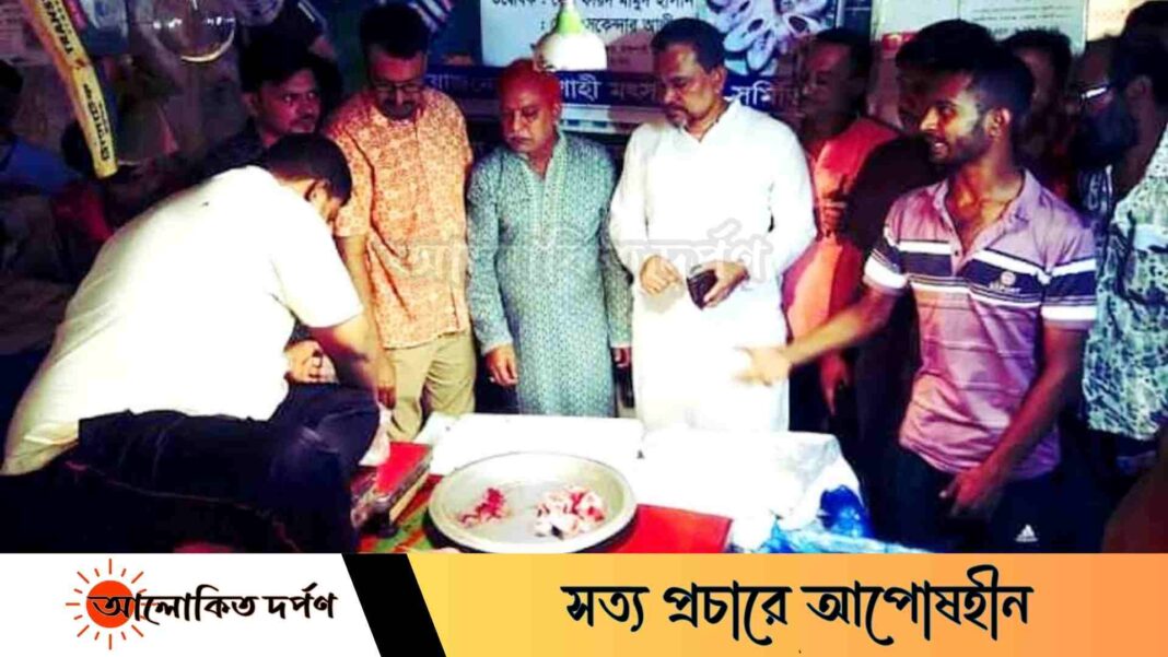 লোক ঠকানোর নতুন বুদ্ধি, রাজশাহীতে ইলিশ মাছ কেটে বিক্রি লোক ঠকানোর নতুন বুদ্ধি, রাজশাহীতে ইলিশ মাছ কেটে বিক্রি