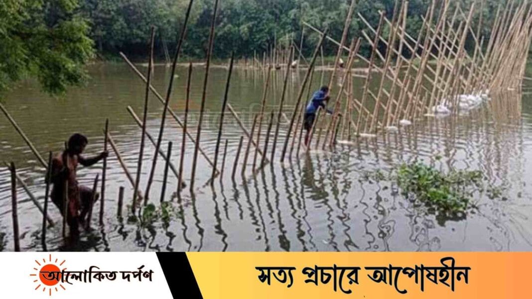 মধুপুরের বংশাই নদীতে অবৈধ সুতি জালে সয়লাব, নেই কর্তৃপক্ষে তৎপরতা মধুপুরের বংশাই নদীতে অবৈধ সুতি জালে সয়লাব, নেই কর্তৃপক্ষে তৎপরতা