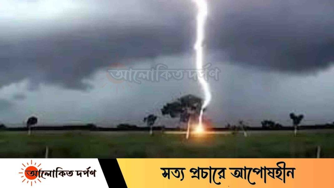 বগুড়ায় মরিচ ক্ষেতে বজ্রপাতে প্রা'ণ গেল কৃষকের
