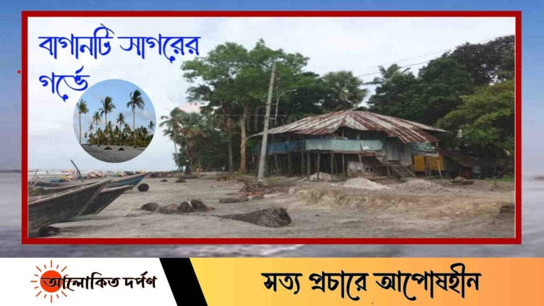 সাগেরগর্ভে বিলীন কুয়াকাটার ফয়েজ মিয়ার নারিকেল বাগান সাগেরগর্ভে বিলীন কুয়াকাটার ফয়েজ মিয়ার নারিকেল বাগান
