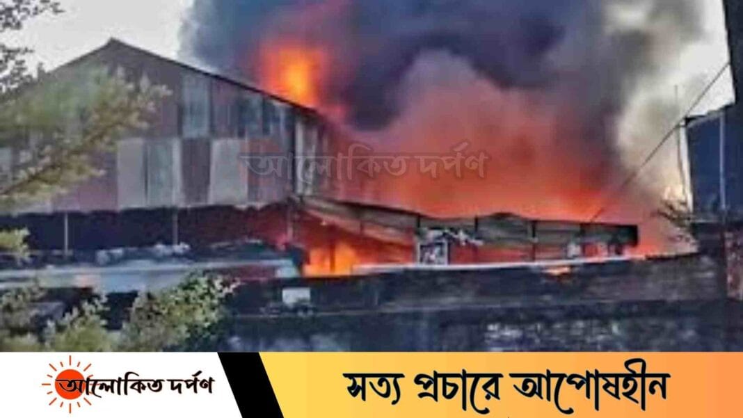 ময়মনসিংহে কীটনাশক কারখানায় অগ্নিকাণ্ড: দুই ঘণ্টার প্রচেষ্টায় নিয়ন্ত্রণ