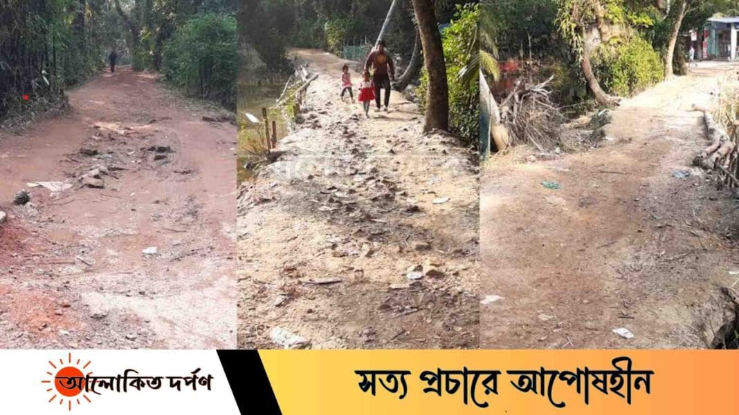 দেড় যুগেও সংস্কার হয়নি রামগঞ্জের কচুয়া বাজার-সমিতির বাজার সড়ক দেড় যুগেও সংস্কার হয়নি রামগঞ্জের কচুয়া বাজার-সমিতির বাজার সড়ক