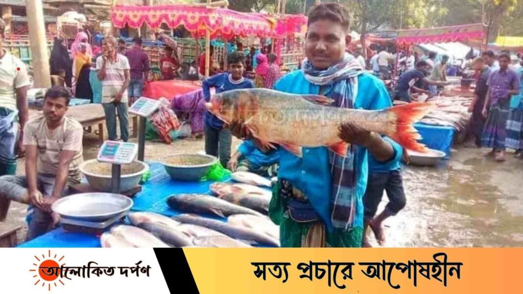 বগুড়ায় শত বছরের পুরোনো মেলায় বিক্রি হলো দেড় হাজার মণ মাছ বগুড়ায় শত বছরের পুরোনো মেলায় বিক্রি হলো দেড় হাজার মণ মাছ