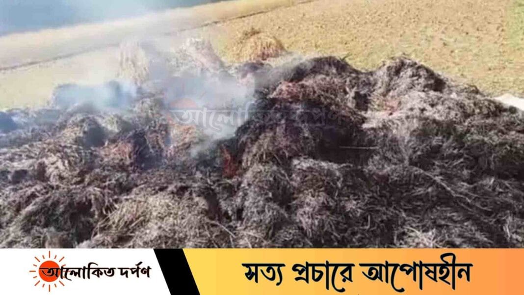 লক্ষ্মীপুরে ক্ষেতে স্তুপ করে রাখা ৬০মণ ধানে আগুন