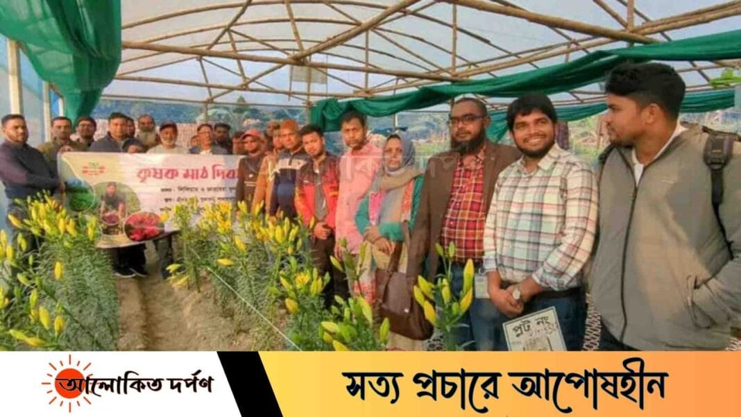 বগুড়ায় চাষ হচ্ছে ভিনদেশী ফুল লিলিয়াম