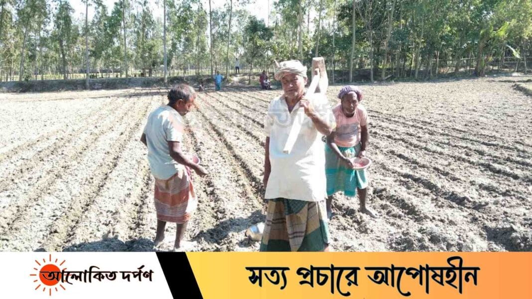অদম্য সাহস নিয়ে ধুধু বালুচরে স্বপ্ন বুনছেন ফুলবাড়ীর কৃষকরা