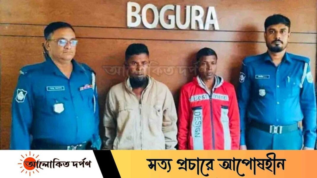 বগুড়ায় মরা গরুসহ কসাই ও সহযোগী আটক