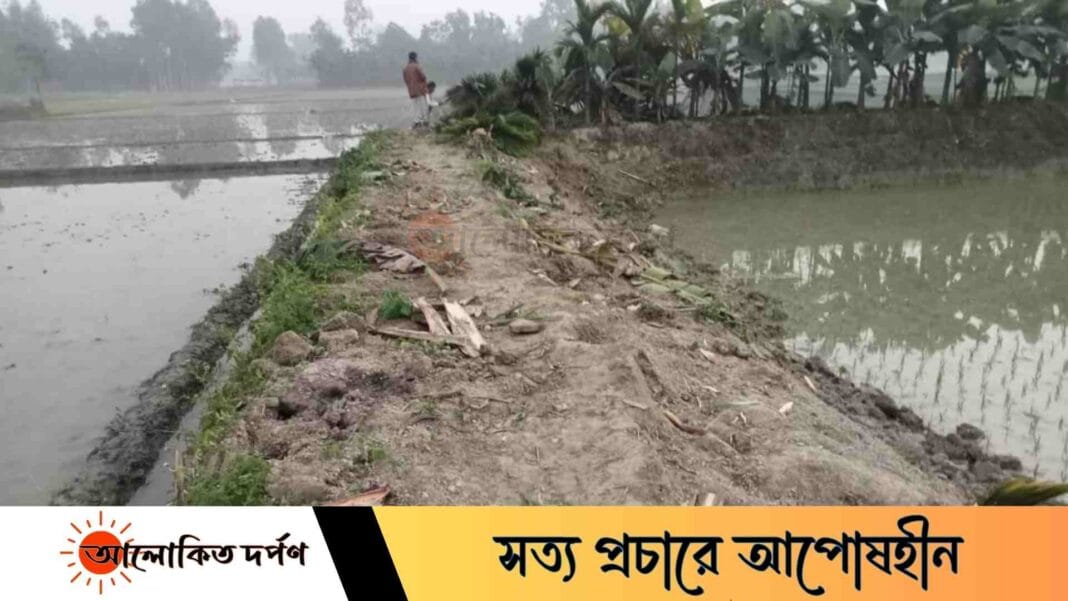 ভূরুঙ্গামারীতে জমি বিরোধে সুপারি ও কলাগাছ কাটার অভিযোগ ভূরুঙ্গামারীতে জমি বিরোধে সুপারি ও কলাগাছ কাটার অভিযোগ