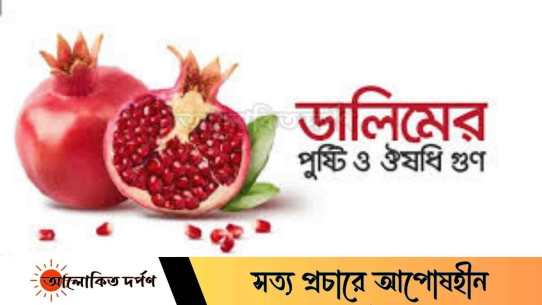 ডালিম ফল: পুষ্টি ও স্বাস্থ্যগুণে ভরপুর একটি প্রাকৃতিক উপহার