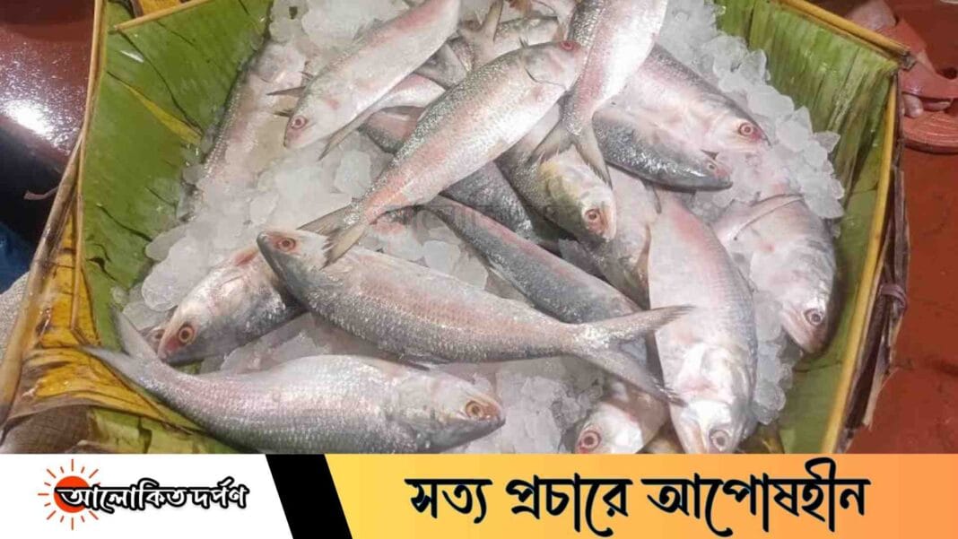 ইলিশের দাম শুনেই পিঠ ফেরাচ্ছেন ক্রেতারা