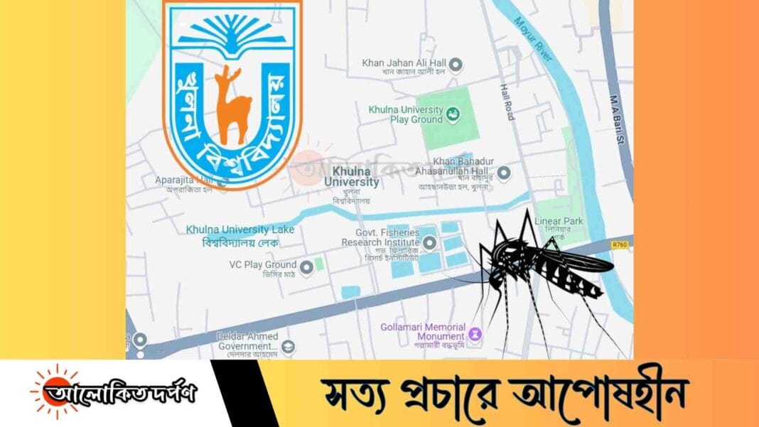 ময়ূর নদী মশার ‘উৎপাদন কারখানা’, খুলনা বিশ্ববিদ্যালয়ে ডেঙ্গু আতঙ্ক