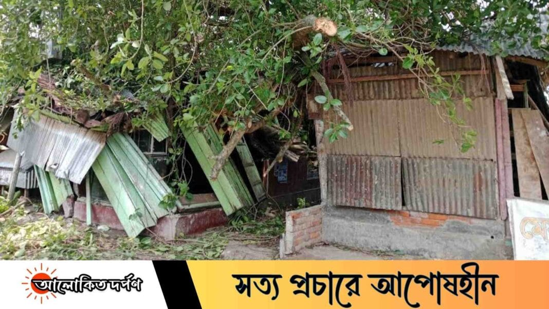 ফুলবাড়ীতে কালবৈশাখী ঝড়ে বটগাছ উপড়ে পড়ে, ১০ দোকান লণ্ডভণ্ড