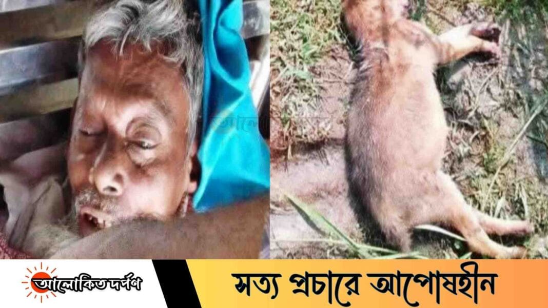 কুড়িগ্রামে নিজের পাতা ফাঁদেই বিদ্যুৎস্পৃষ্ট হয়ে কৃষকের মৃত্যু