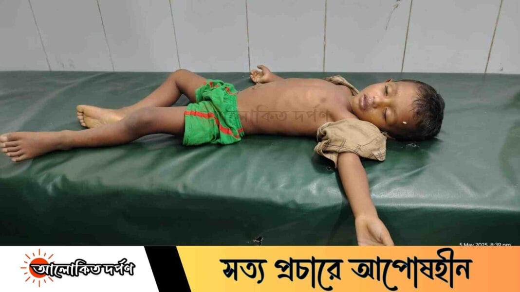 লিচুর বিচি গলায় আটকে প্রাণ গেল চার বছরের রবিউলের, নালিতাবাড়ীতে শোকের ছায়া