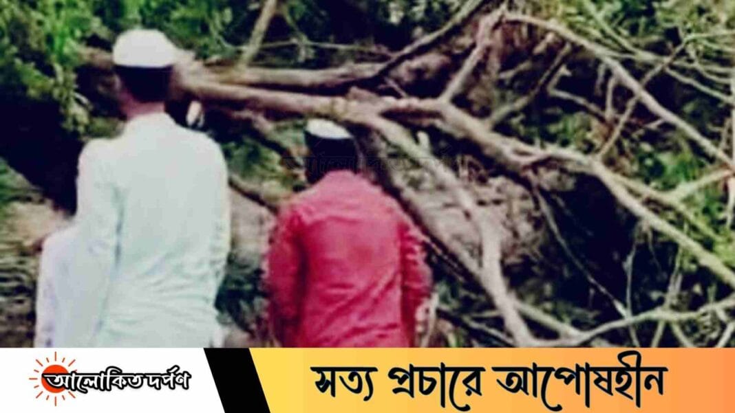 ময়মনসিংহে কালবৈশাখীর ঝড়ে গাছ ভেঙে দুইজনের মৃত্যু ময়মনসিংহে কালবৈশাখীর ঝড়ে গাছ ভেঙে দুইজনের মৃত্যু