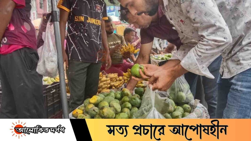 সময়চ্যুত গোপালভোগে রাজশাহীর বাজারে হতাশা সময়চ্যুত গোপালভোগে রাজশাহীর বাজারে হতাশা