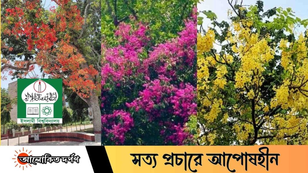 ফুলের রাজ্যে ইসলামী বিশ্ববিদ্যালয়
