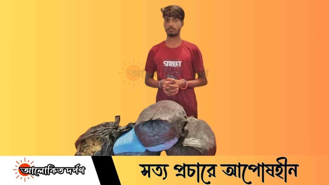 ময়মনসিংহে ৮ কেজি গাঁজাসহ যুবক আটক