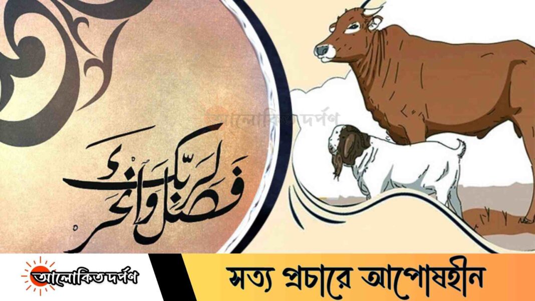 কুরবানির গরু কেমন হতে হবে? ইসলাম কী বলে?