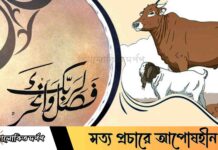 কুরবানির গরু কেমন হতে হবে? ইসলাম কী বলে?