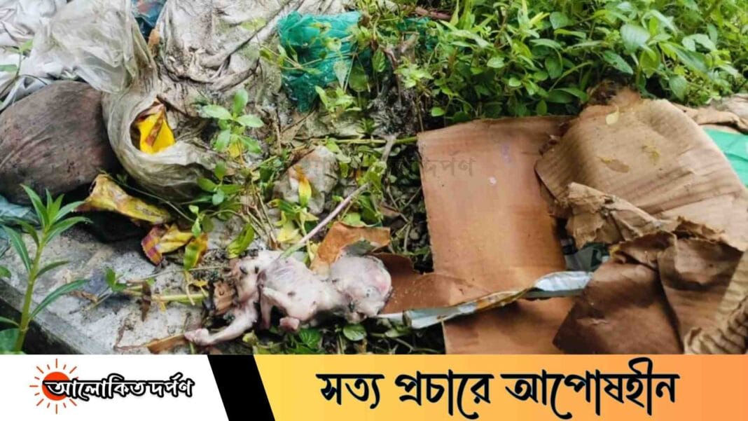 উপজেলা স্বাস্থ্য কমপ্লেক্সে স্যালাইন কার্টুনে মানব ভ্রূণ, তদন্তে পুলিশ
