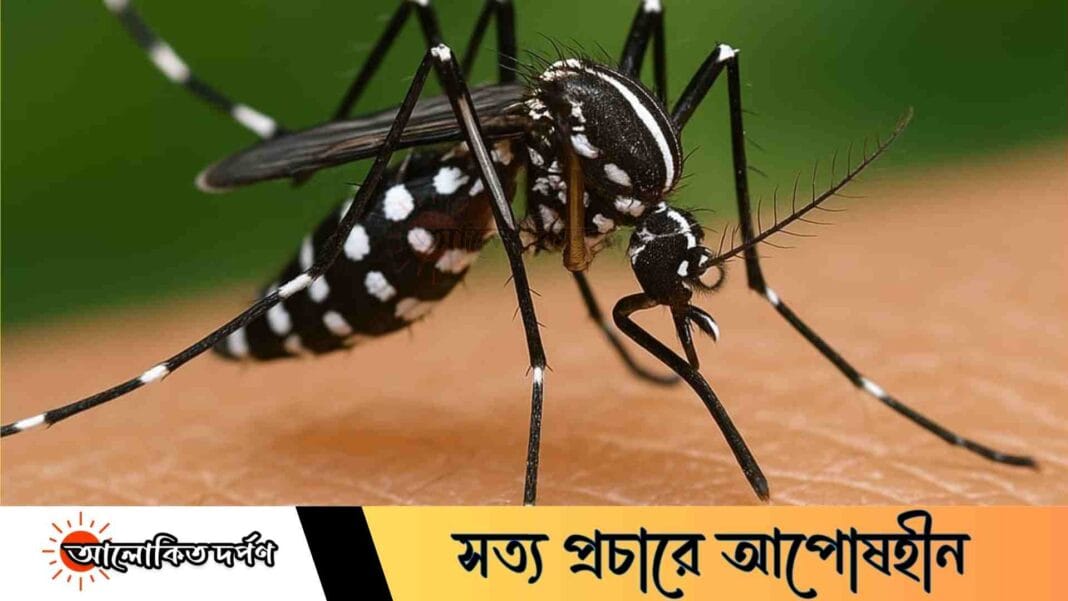 কলাপাড়ায় ডেঙ্গুতে এক বৃদ্ধের মৃত্যু, হাসপাতালে ভর্তি ৫