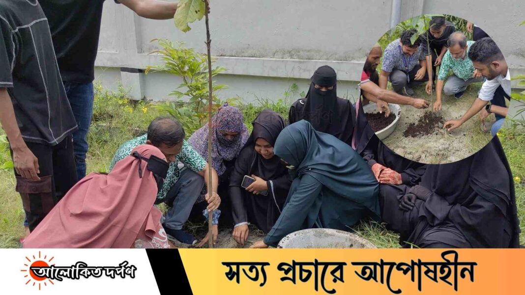দাউদকান্দি কারিগরি প্রশিক্ষণ কেন্দ্রে কম্পিউটার অপারেশন ট্রেডের বৃক্ষরোপণ কর্মসূচি অনুষ্ঠিত