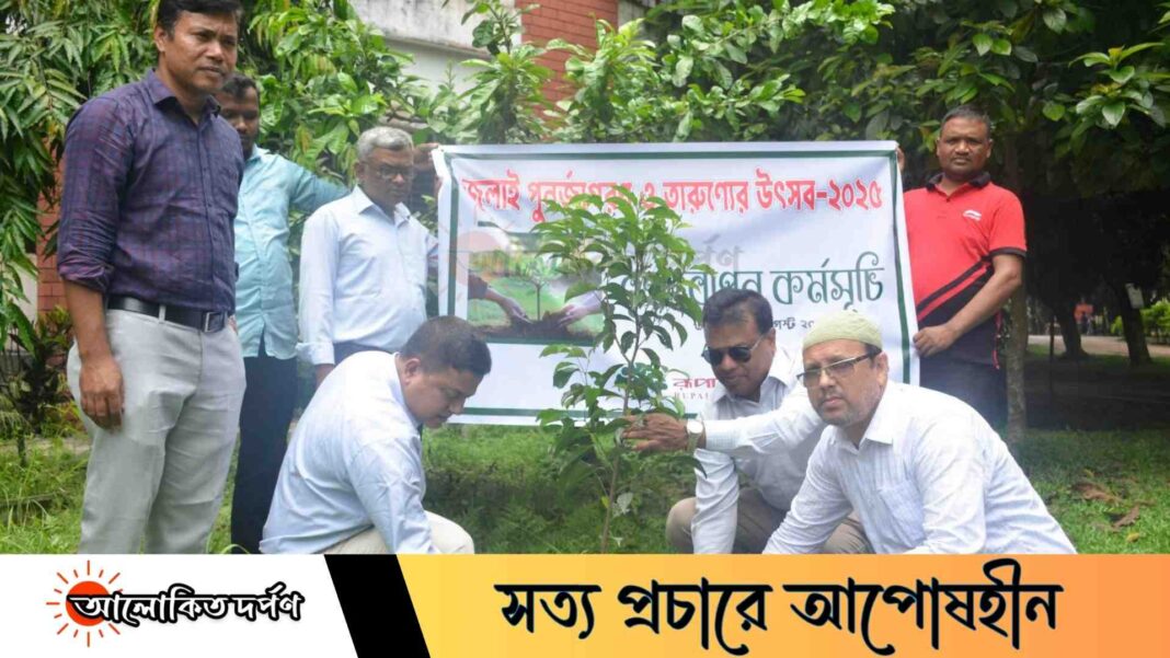 বেরোবিতে বৃক্ষরোপণ কর্মসূচি: ‘জুলাই পুনর্জাগরণ ও তারুণ্যের উৎসব’ উদযাপন