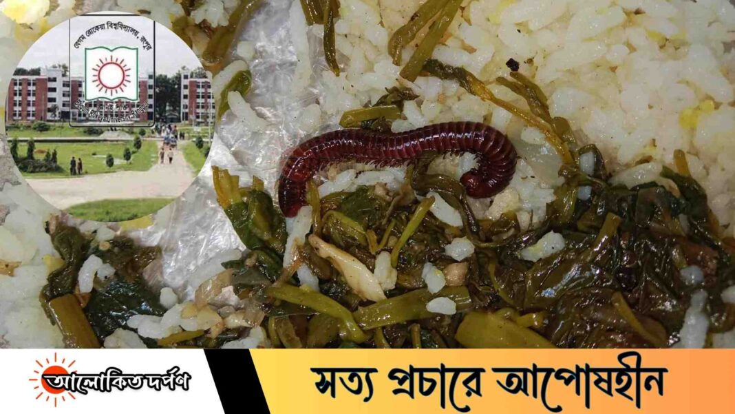 বেরোবির ডাইনিংয়ের খাবারে বড় আকৃতির পোকা, শিক্ষার্থীদের ক্ষোভ