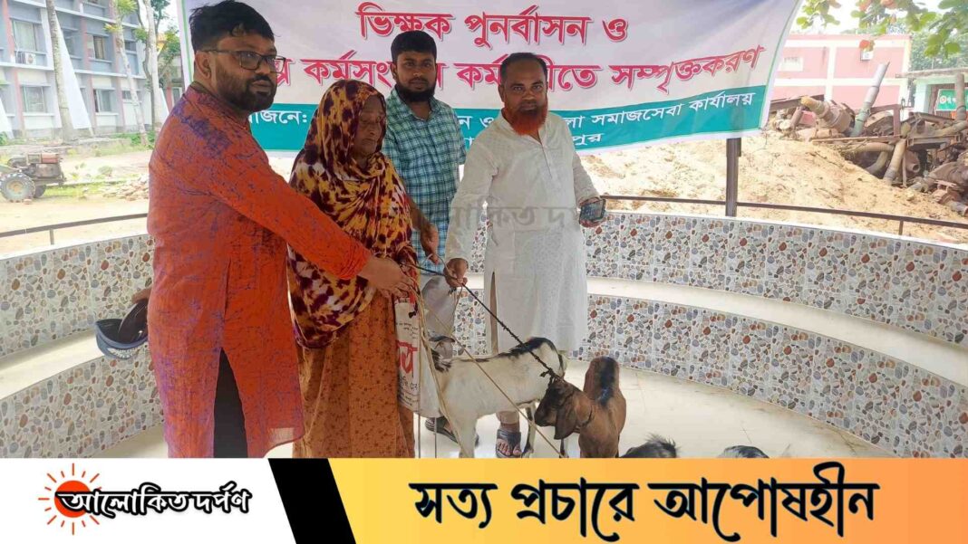 নালিতাবাড়ীতে সমাজসেবার সহায়তায় ভিক্ষুক সাজেদার ঘরে নতুন স্বপ্ন: পেলেন ৪টি ছাগল