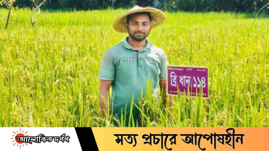লক্ষ্মীপুরে কৃষিতে নতুন বিপ্লব ১২ জাতের উচ্চ ফলনশীল ধান চাষে সোহাগের সাফল্য